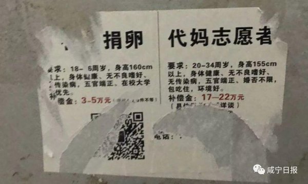 北京捐卵公司提供合法捐卵服务，专业医疗团队保障卵源质量