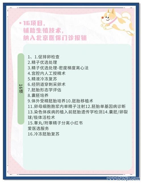 北京第三代试管婴儿收费标准及费用解析