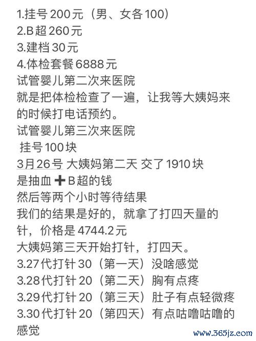 北京试管婴儿专家咨询 e8city专业服务